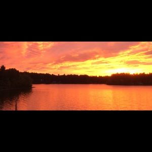 Meet your Posher, Allyson